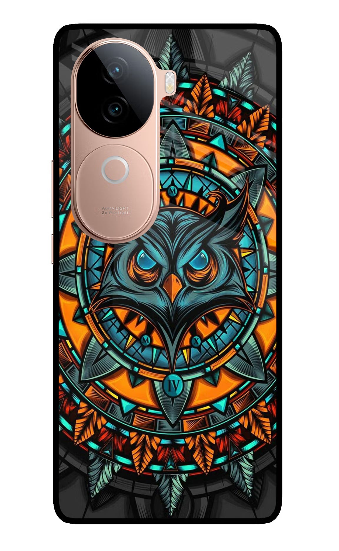 Angry Owl Art IQOO Z9s 5G Glass Case Back Cover by Casekaro