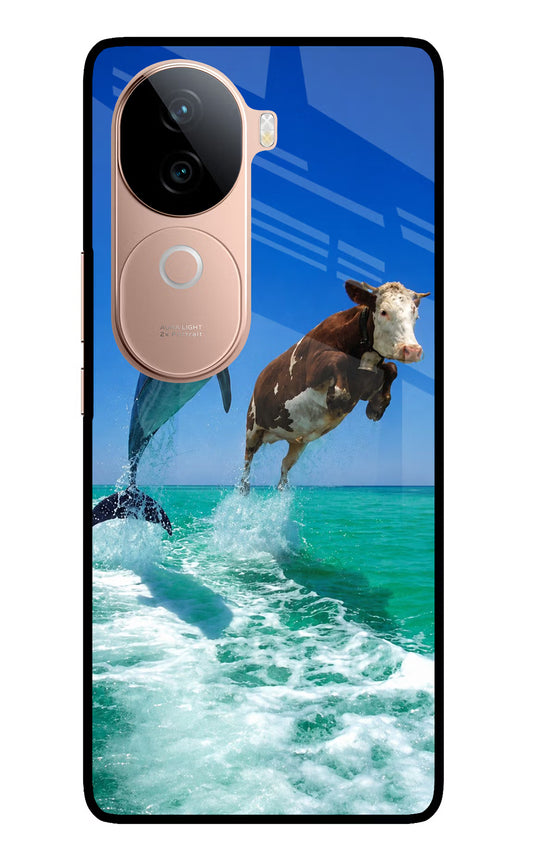 Dolphin vs Cow IQOO Z9s 5G Glass Case