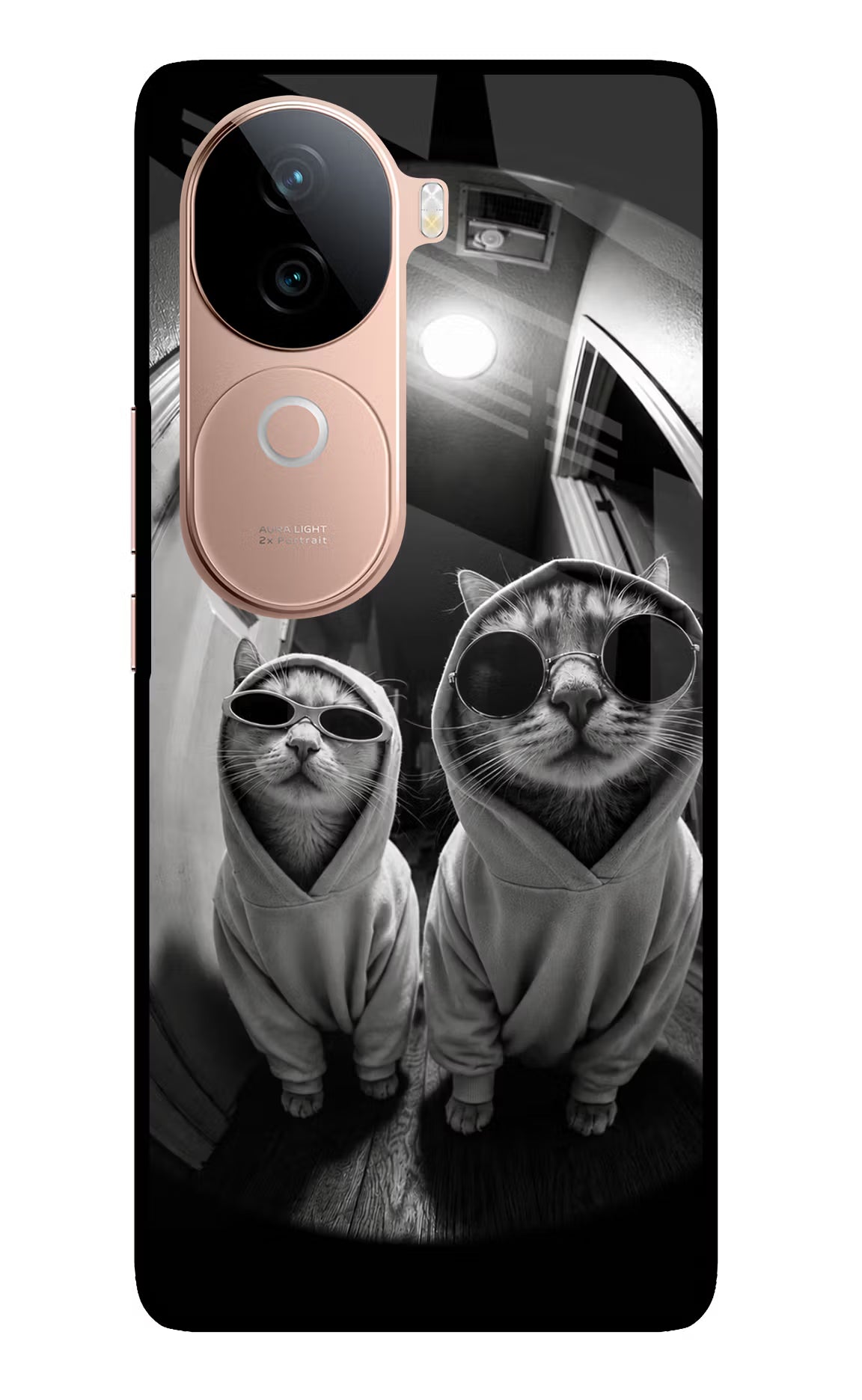 Hood Cats IQOO Z9s 5G Glass Case