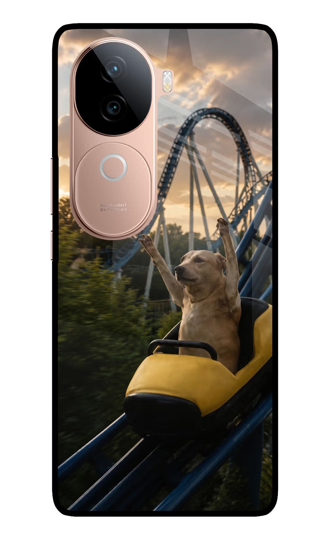 Rollercoaster Dog IQOO Z9s 5G Glass Case