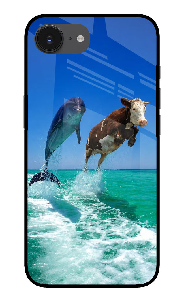 Dolphin vs Cow iPhone 16e Glass Case