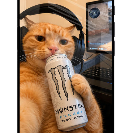 Gamer Cat Energy iPhone 16e Glass Case