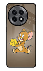 Jerry OnePlus 13R Glass Case