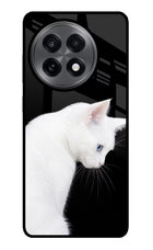 Snow Gaze OnePlus 13R Glass Case