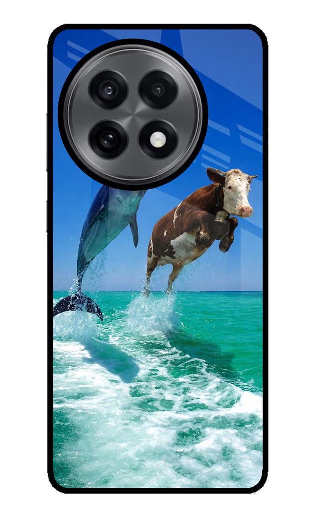 Dolphin vs Cow OnePlus 13R Glass Case