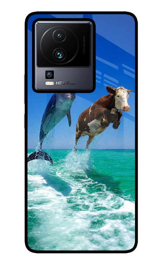 Dolphin vs Cow iQOO Neo 7 Glass Case