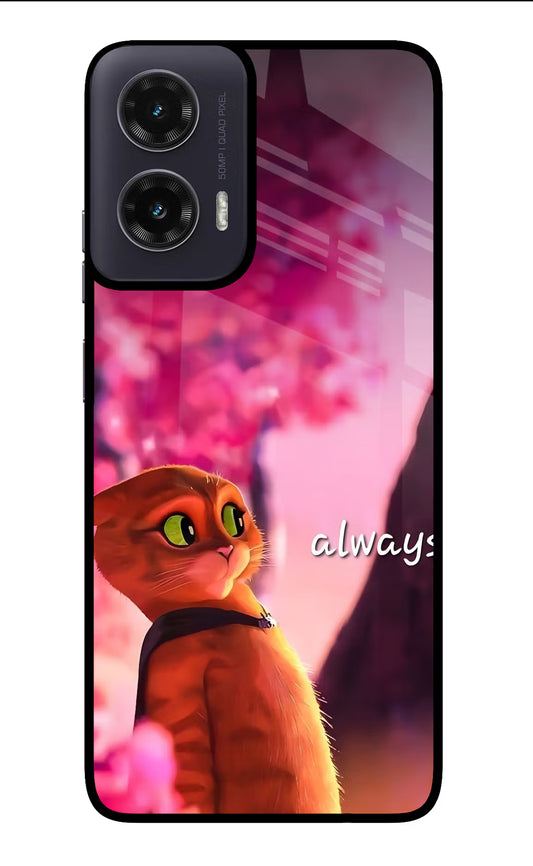 Always Cat Moto G35 5G Glass Case