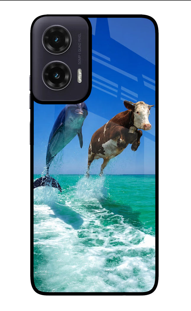 Dolphin vs Cow Moto G35 5G Glass Case Back Cover by Casekaro