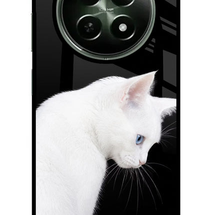 Snow Gaze Realme 12x 5G Glass Case
