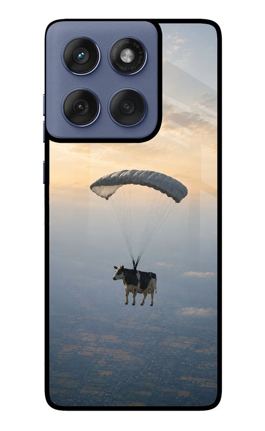 Skydiving Cow Moto Edge 60 Fusion Glass Case