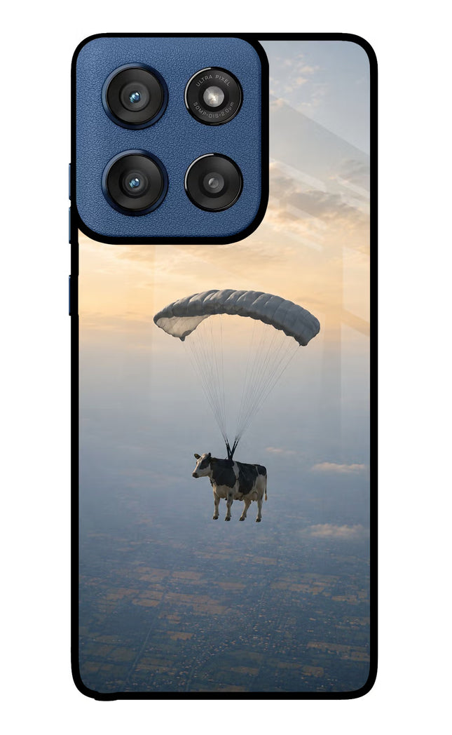 Skydiving Cow Moto Edge 60 Stylus Glass Case Back Cover by Casekaro