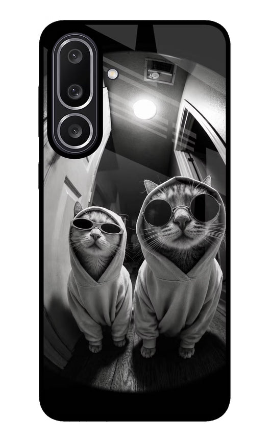 Hood Cats Samsung M56 5G Glass Case