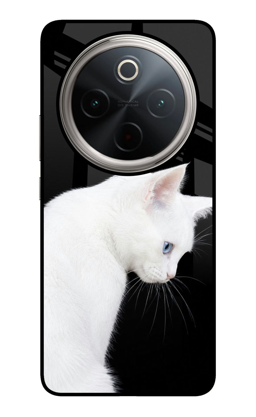 Snow Gaze Vivo T4 5G Back Cover, Glass case