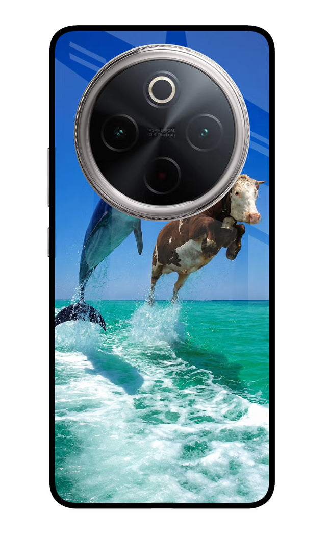 Dolphin vs Cow Vivo T4 5G Glass Case Back Cover by Casekaro