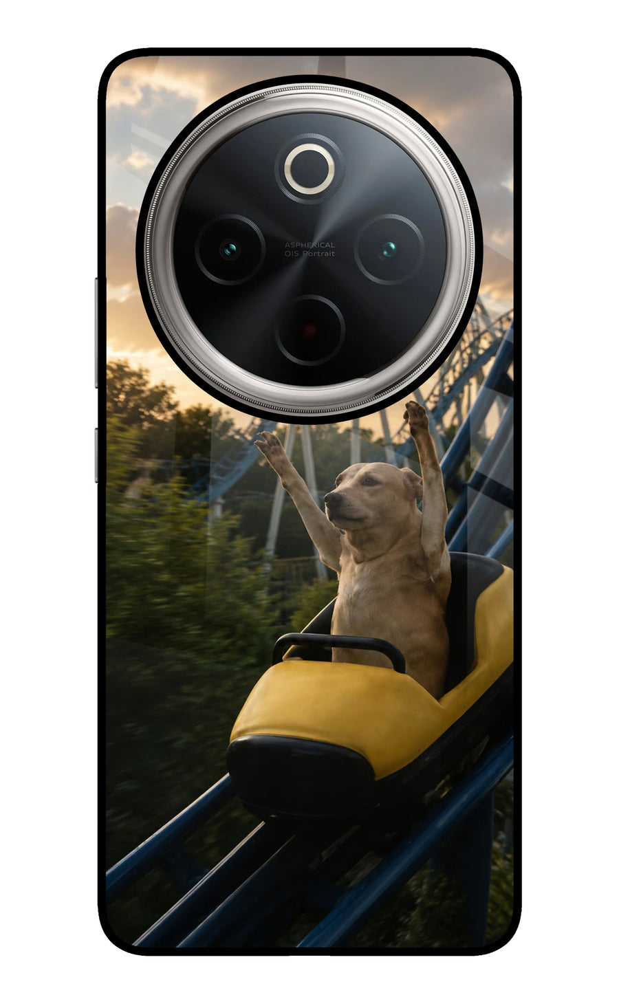Rollercoaster Dog Vivo T4 5G Back Cover, Glass case
