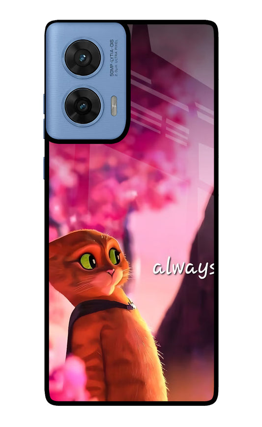Always Cat Moto G96 5G Glass Case