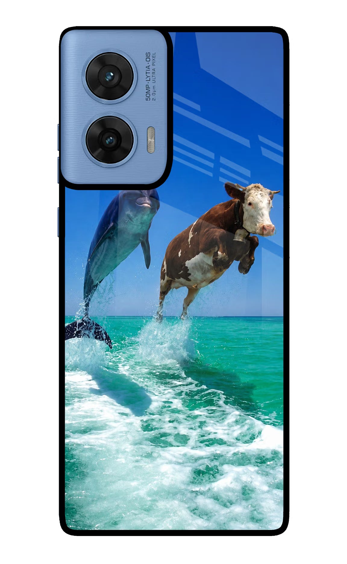 Dolphin vs Cow Moto G96 5G Glass Case