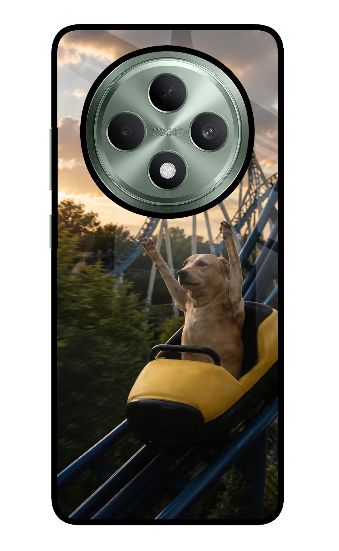 Rollercoaster Dog Oppo F27 5G Glass Case