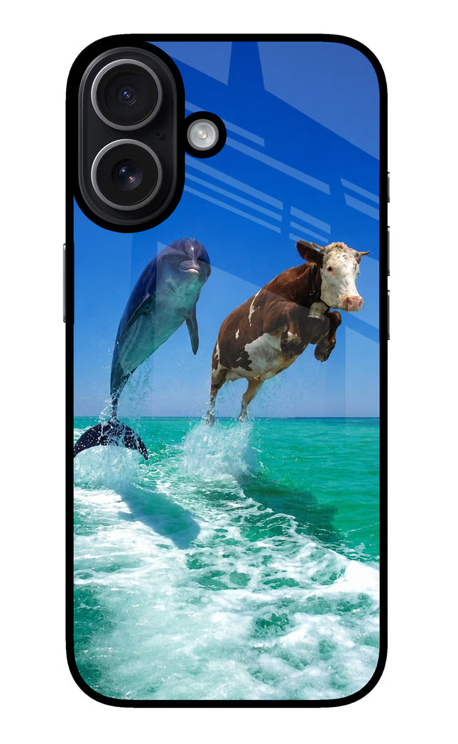 Dolphin vs Cow iPhone 17 Glass Case