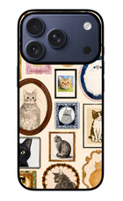 Mirror Cats iPhone 17 Pro Glass Case