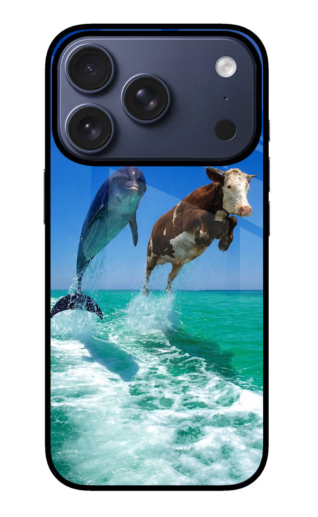 Dolphin vs Cow iPhone 17 Pro Glass Case