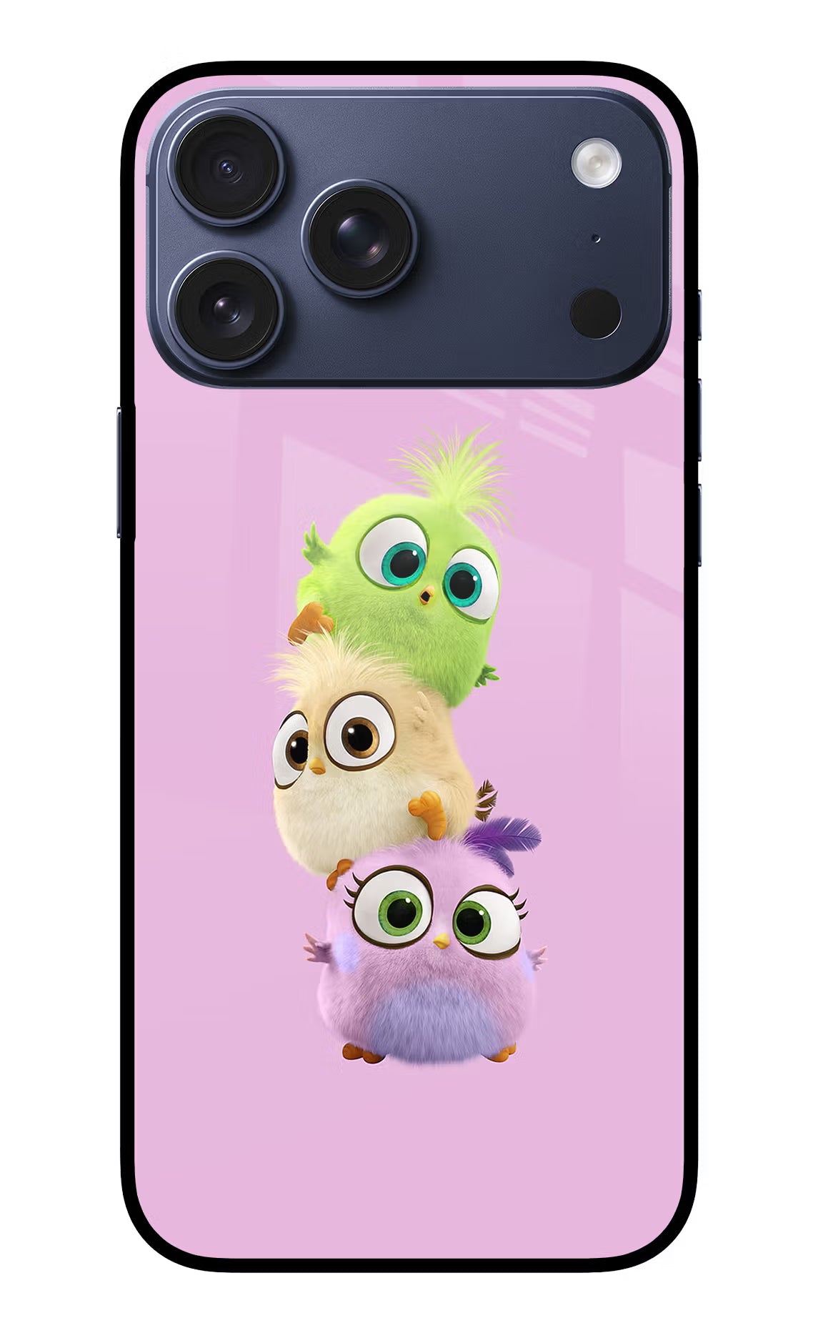 Cute Little Birds iPhone 17 Pro Max Glass Case Back Cover by Casekaro