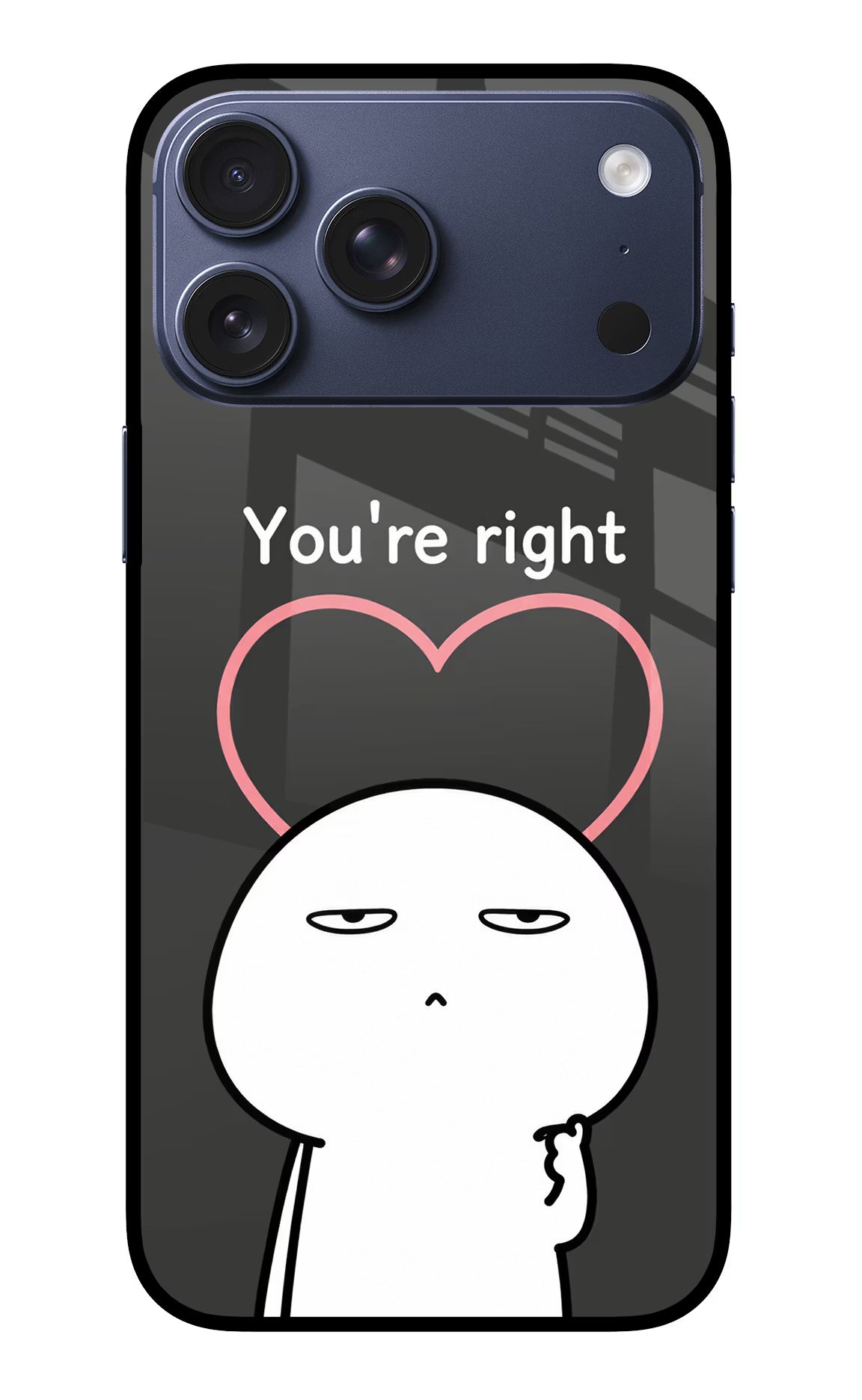 You're Right iPhone 17 Pro Max Glass Case