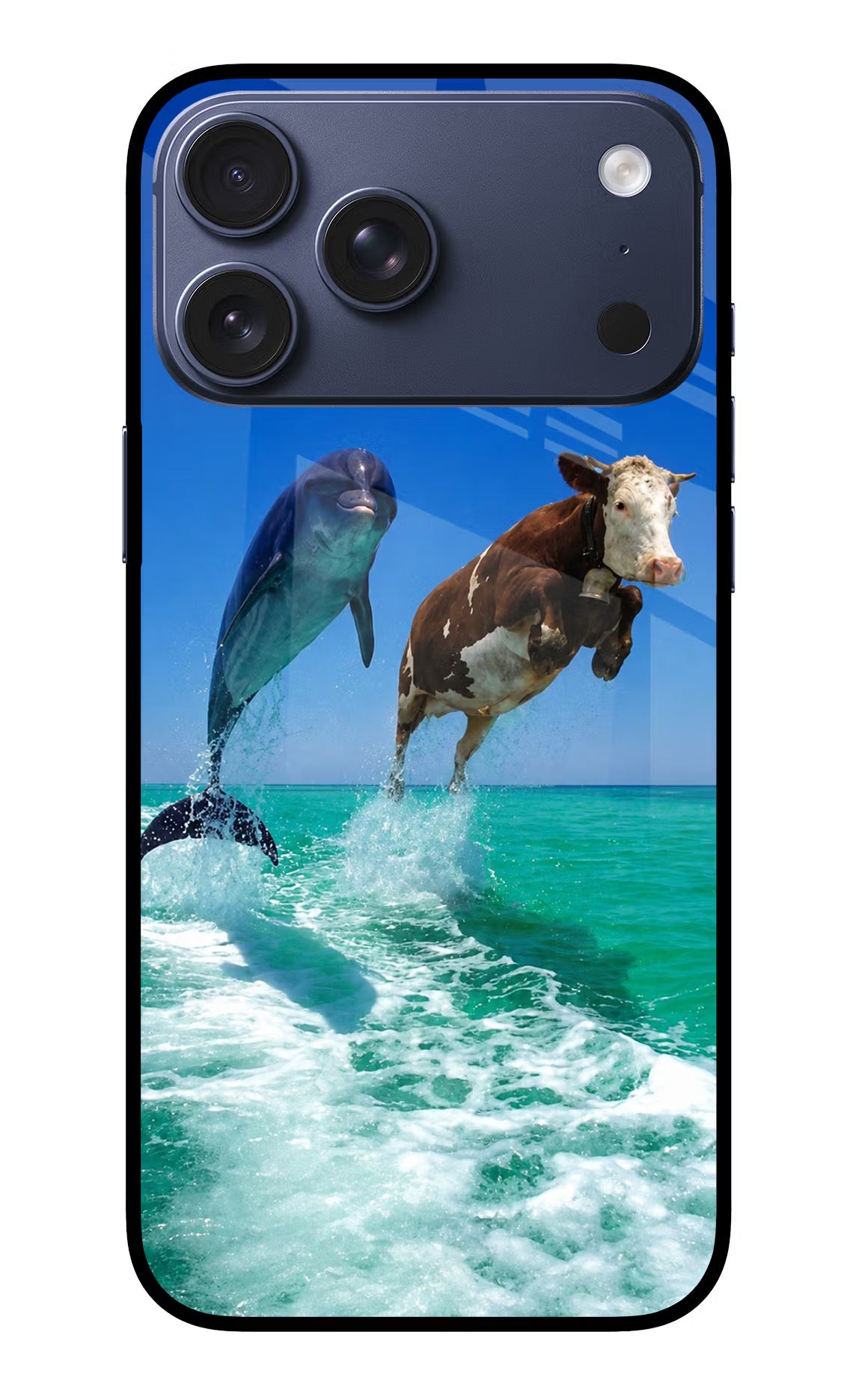 Dolphin vs Cow iPhone 17 Pro Max Glass Case
