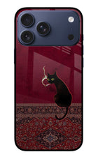 Midnight Cat iPhone 17 Pro Max Glass Case