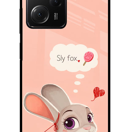 Judy Charm Poco X5 Pro 5G Glass Case