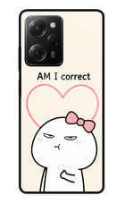 Always Right Poco X5 Pro 5G Glass Case