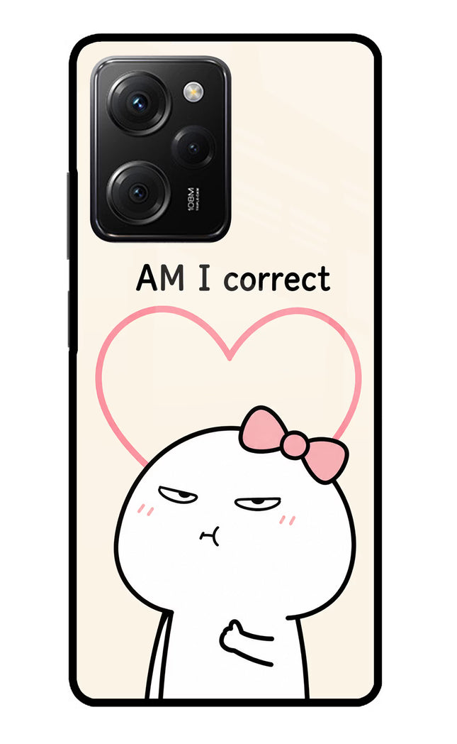 Always Right Poco X5 Pro 5G Glass Case