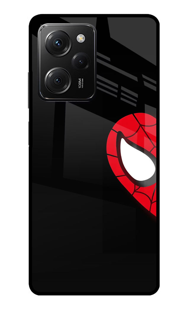 Peter Mask Poco X5 Pro 5G Glass Case