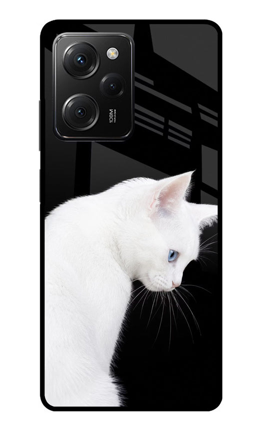 Snow Gaze Poco X5 Pro 5G Glass Case