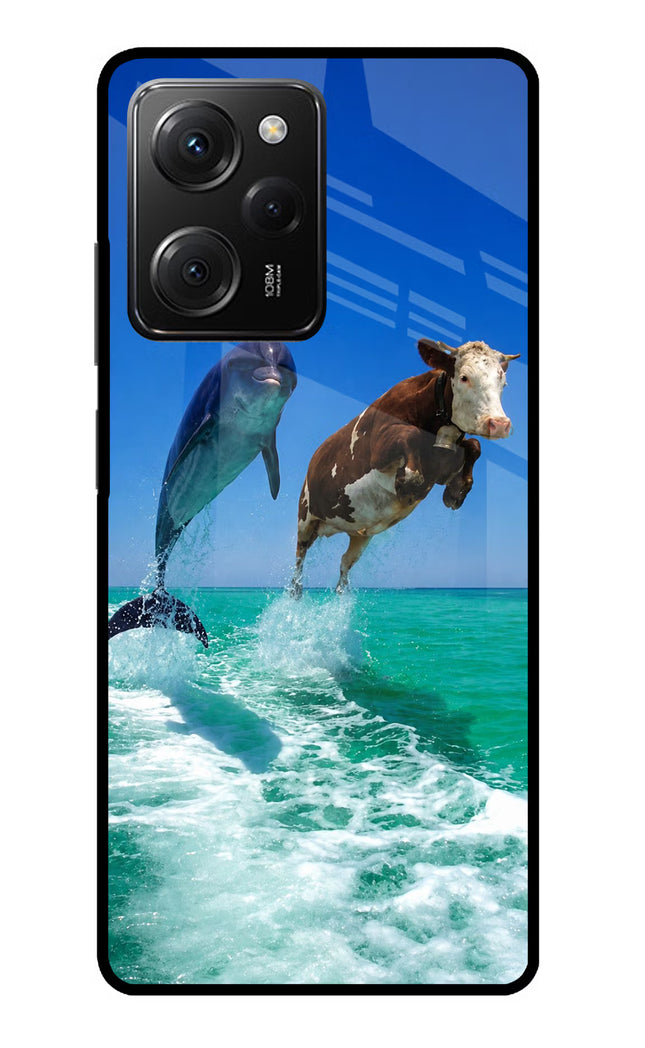 Dolphin vs Cow Poco X5 Pro 5G Glass Case
