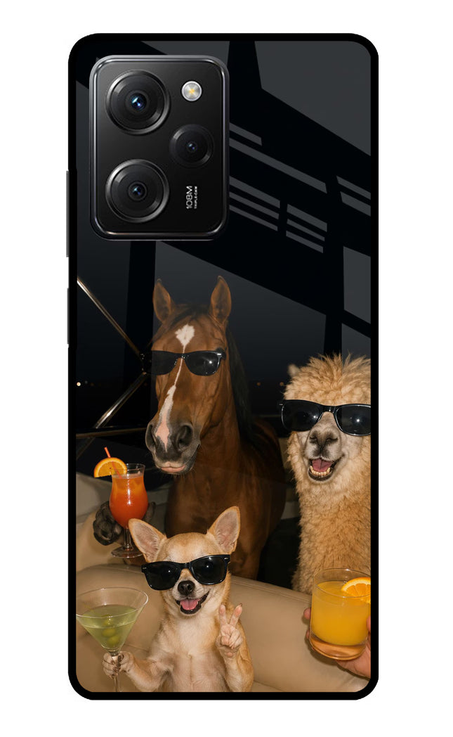 Party Squad Poco X5 Pro 5G Glass Case
