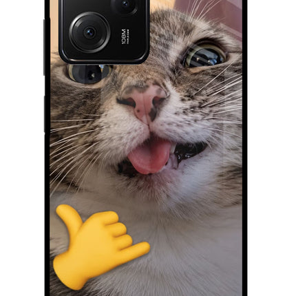 Silly Cat Call Poco X5 Pro 5G Glass Case