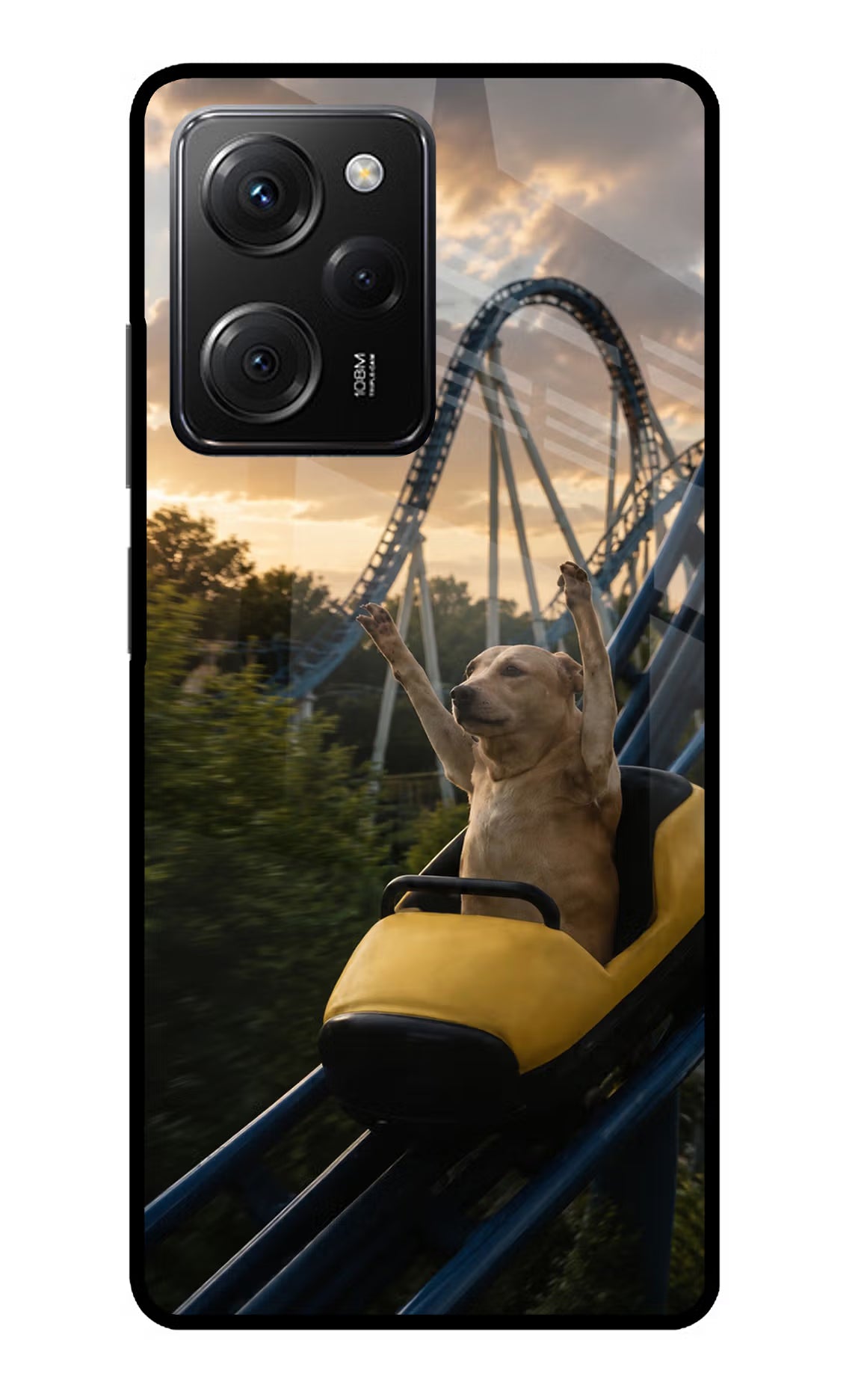 Rollercoaster Dog Poco X5 Pro 5G Glass Case
