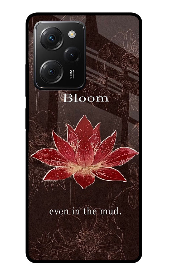 Bloom Poco X5 Pro 5G Glass Case