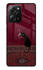 Midnight Cat Poco X5 Pro 5G Glass Case
