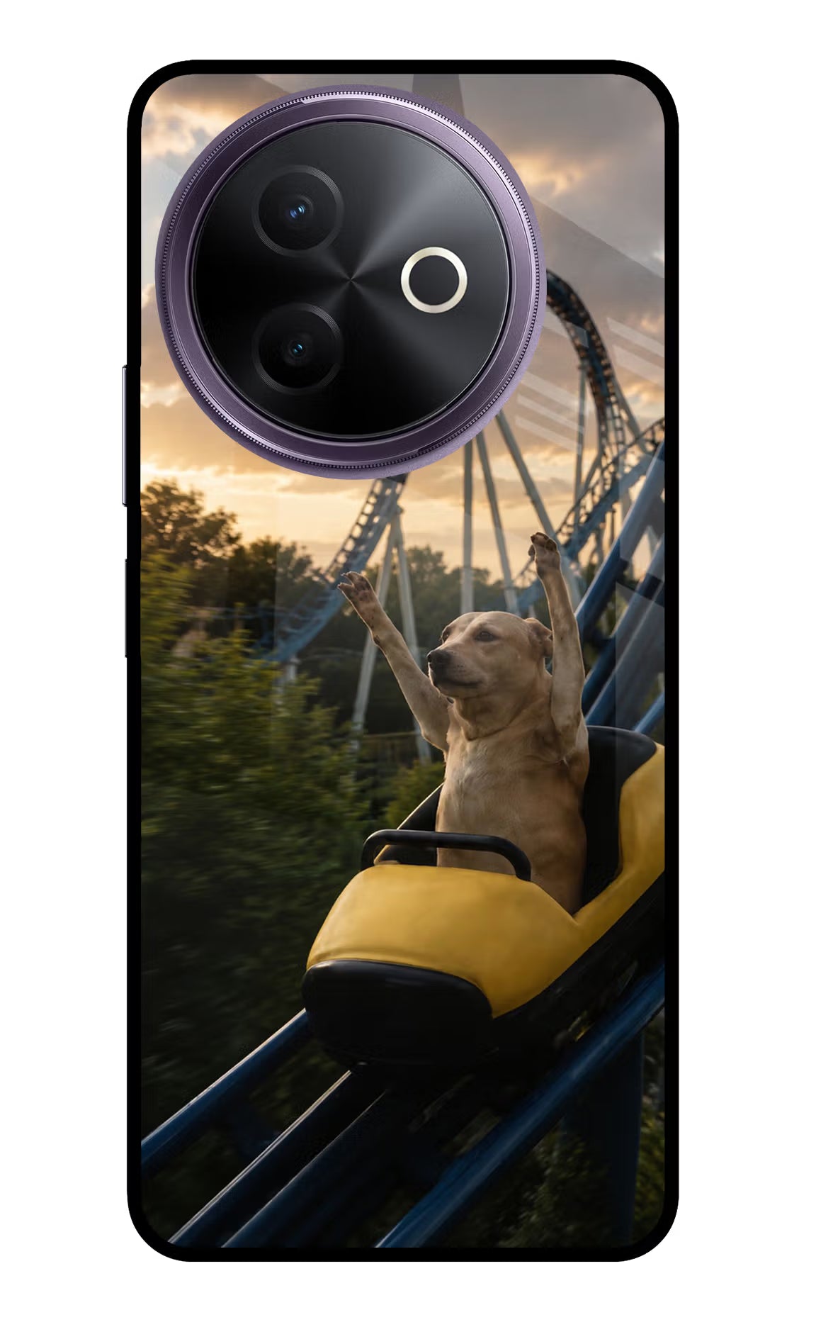 Rollercoaster Dog Vivo Y39 5G Glass Case