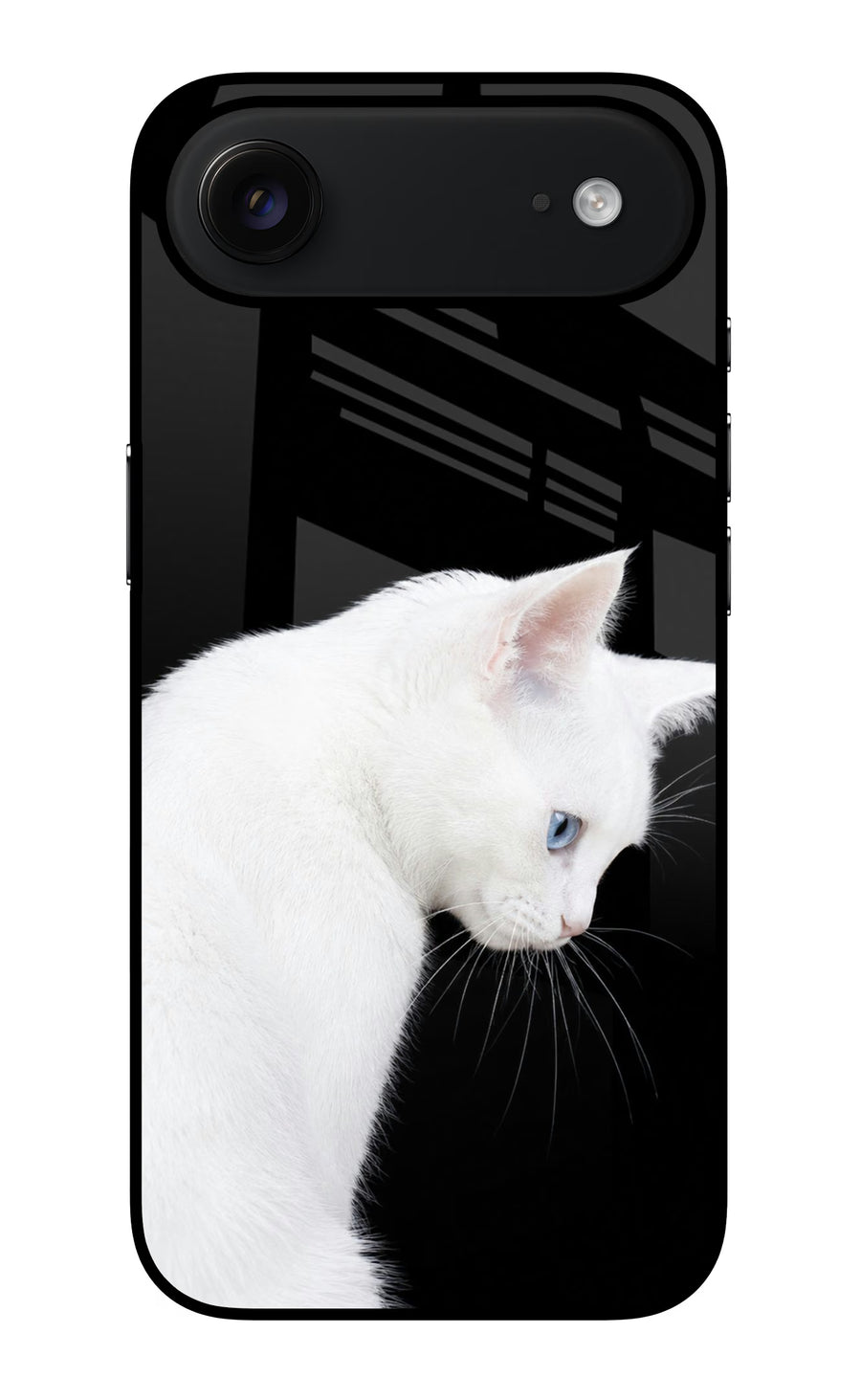 Snow Gaze iPhone Air Back Cover, Glass case