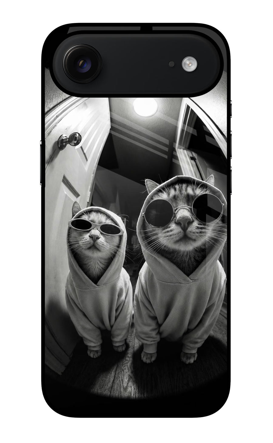 Hood Cats iPhone Air Back Cover, Glass case