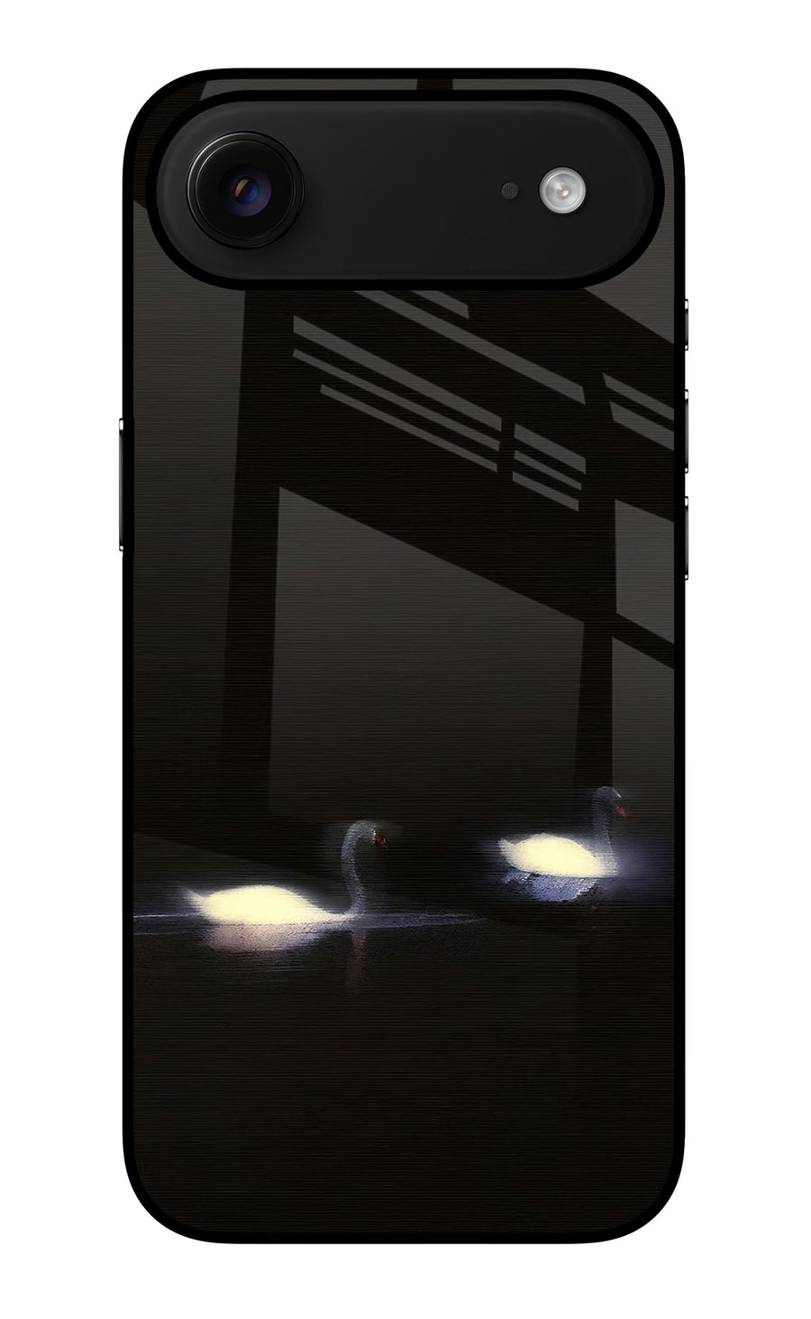 Silent Swans iPhone Air Back Cover, Glass case