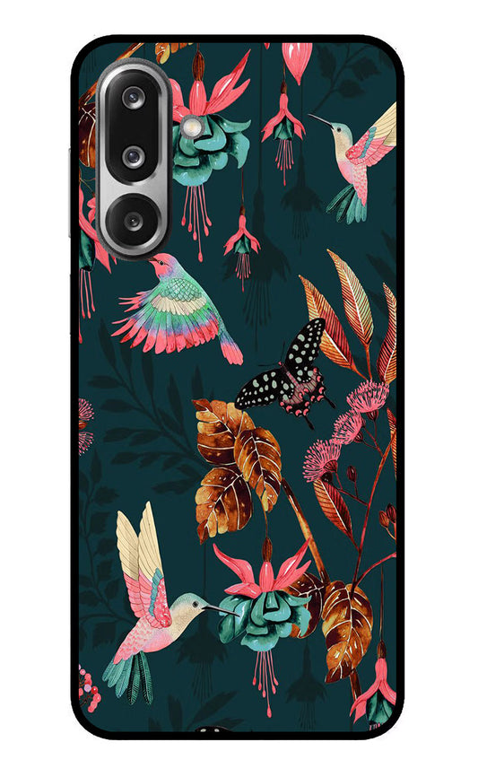 Birds Samsung F36 5G Glass Case