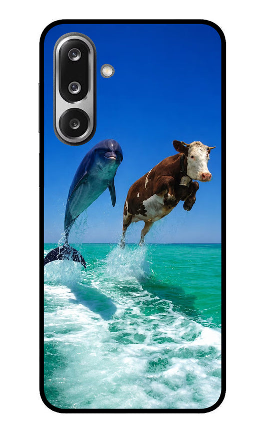 Dolphin vs Cow Samsung F36 5G Glass Case