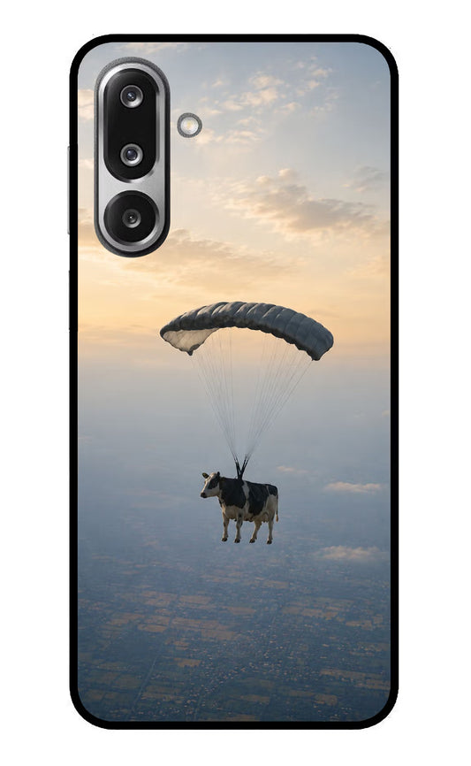 Skydiving Cow Samsung F36 5G Glass Case