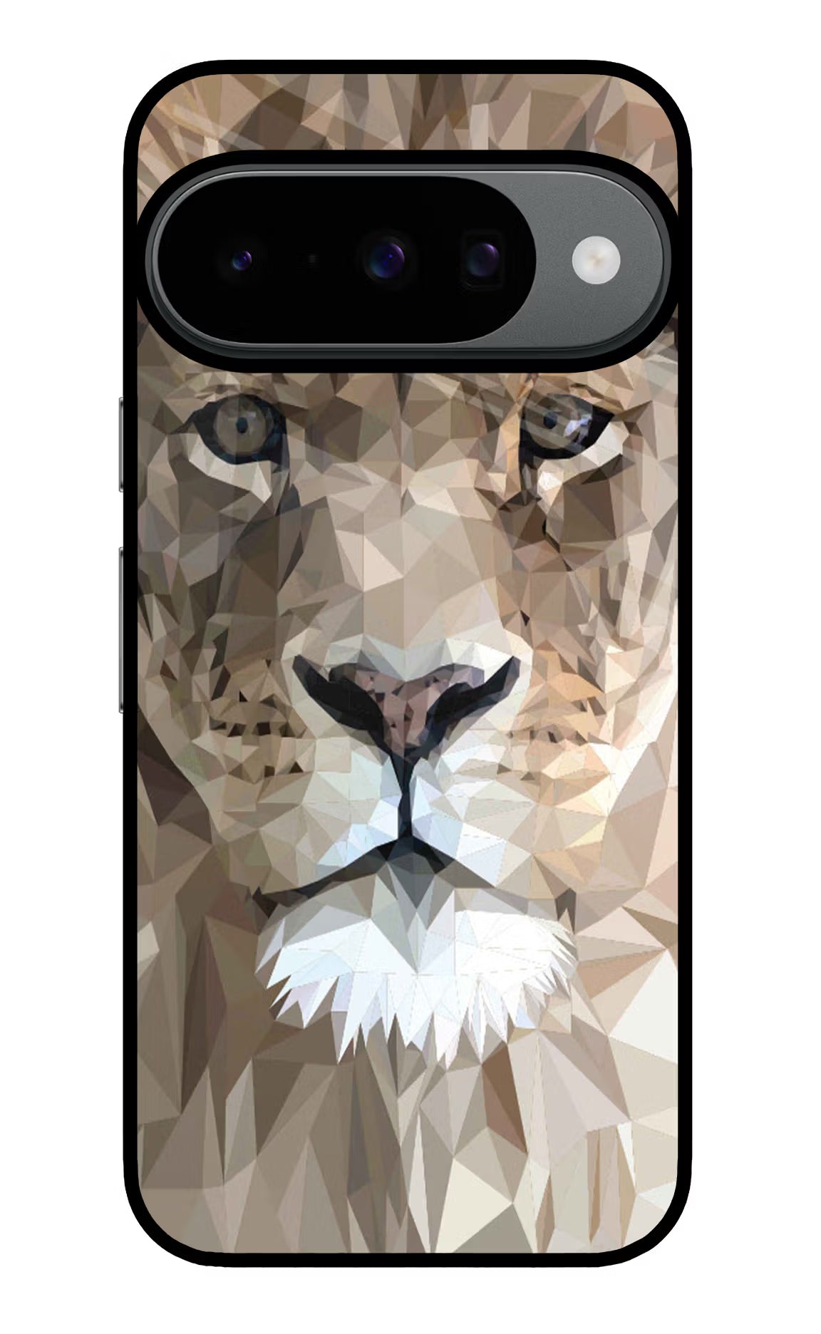 Lion Art Google Pixel 10 Glass Case Back Cover by Casekaro