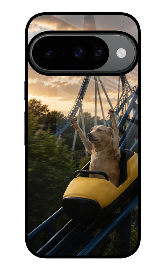 Rollercoaster Dog Google Pixel 10 Glass Case