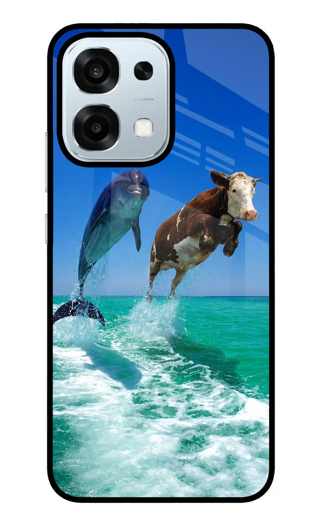 Dolphin vs Cow Oppo F31 5G Glass Case